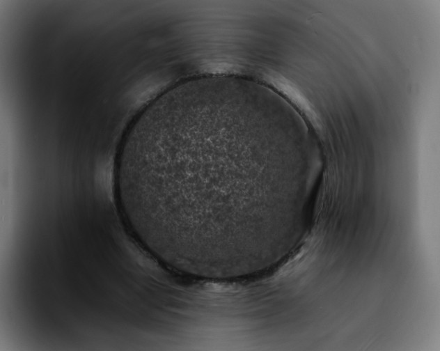 X0000092220442200709211010