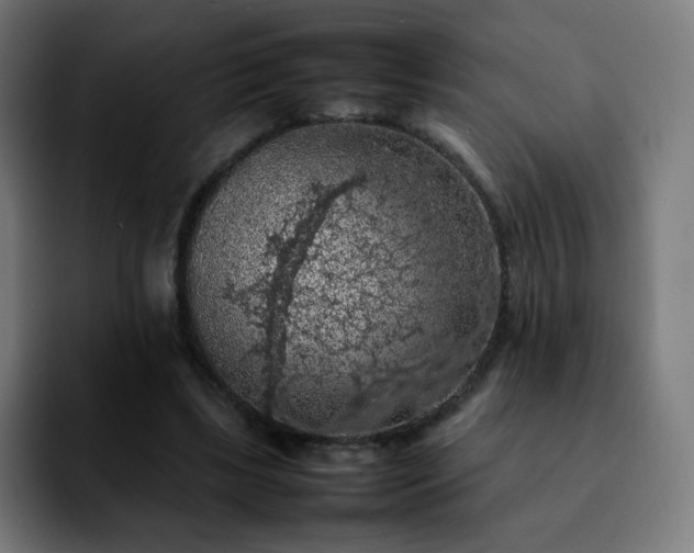 X0000092220443200709211010