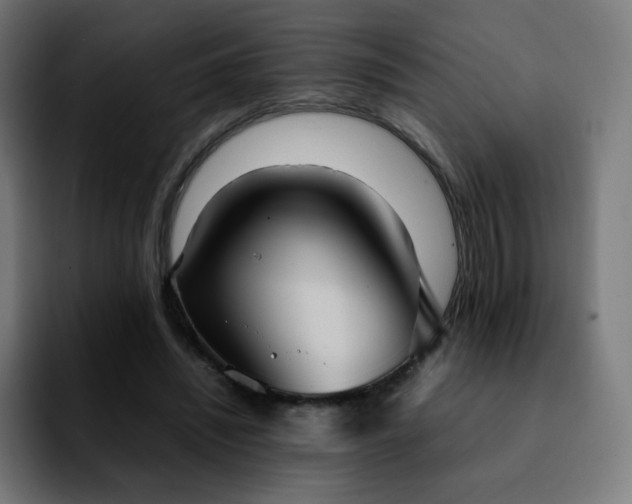 X0000092220444200709211010