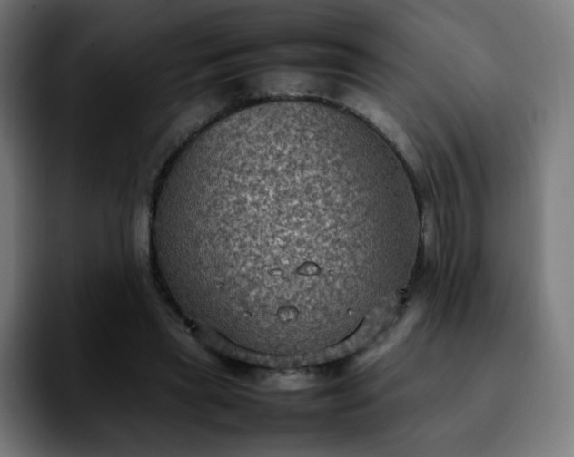 X0000092220445200709211010
