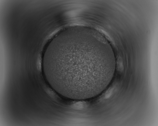 X0000092220446200709211010