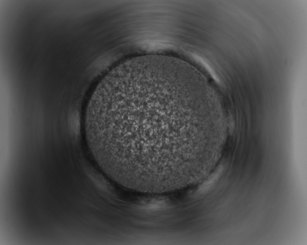 X0000092220447200709211010