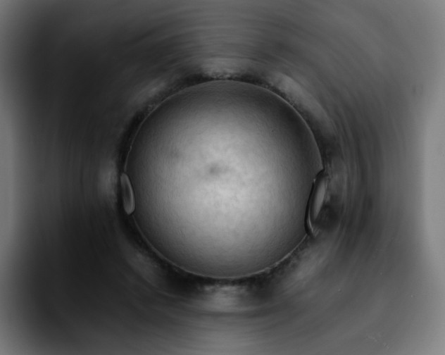 X0000092220448200709211010