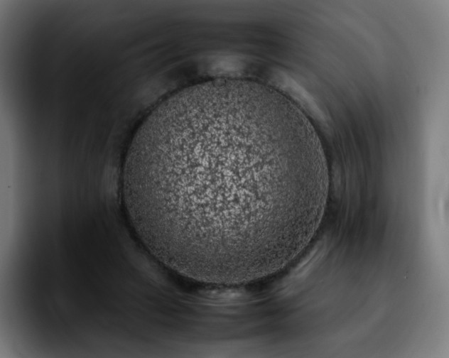 X0000092220449200709211010