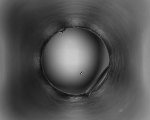 X0000092220450200709211010