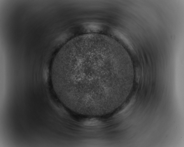 X0000092220451200709211010