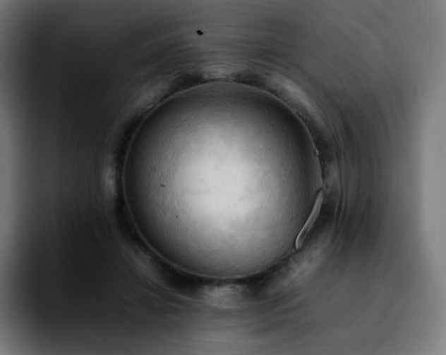 X0000092220452200709211010