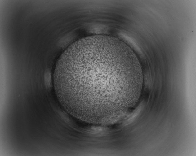 X0000092220453200709211010