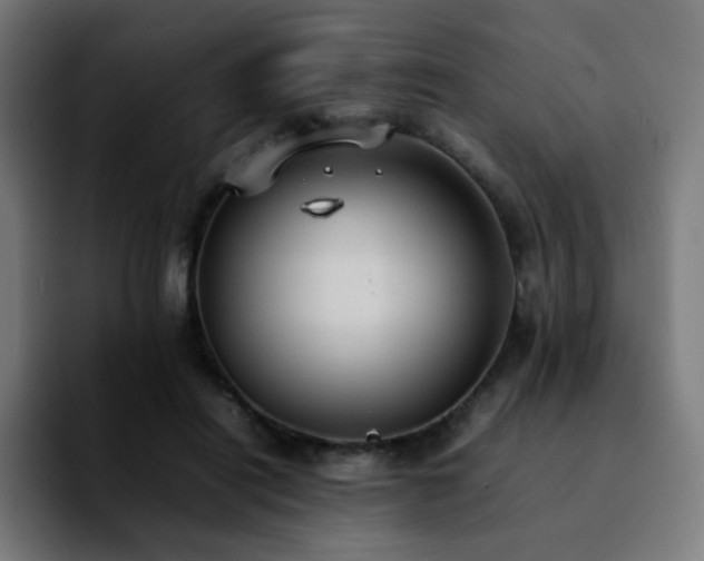 X0000092220454200709211011