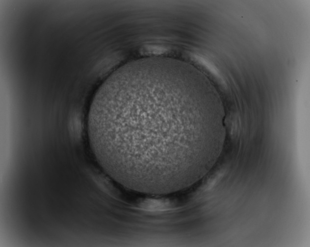 X0000092220455200709211011