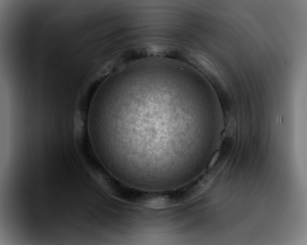 X0000092220456200709211011