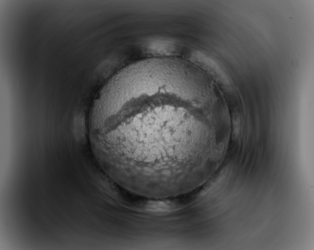 X0000092220457200709211011