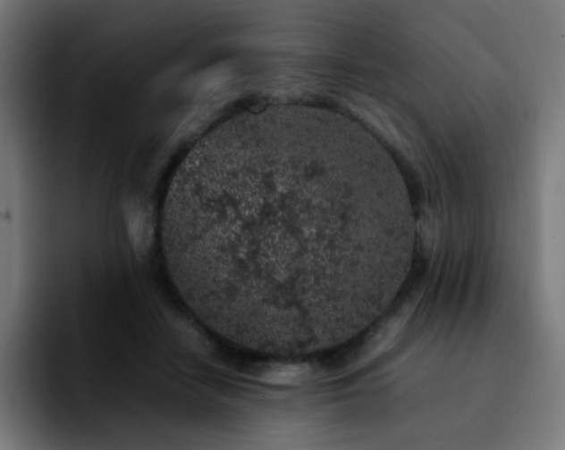 X0000092220458200709211011