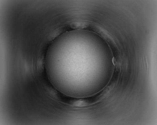 X0000092220460200709211011