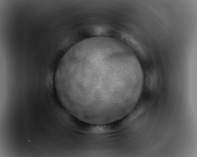 X0000092220461200709211011