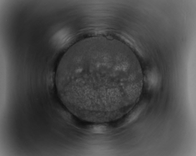 X0000092220462200709211011