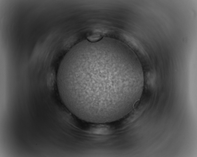X0000092220463200709211011