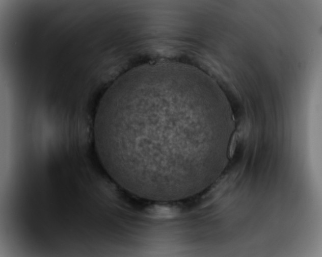 X0000092220464200709211011