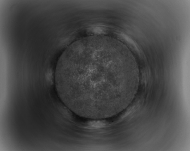 X0000092220465200709211011