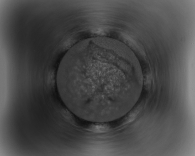 X0000092220466200709211011