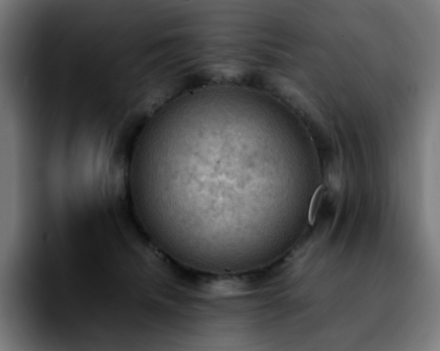 X0000092220468200709211011