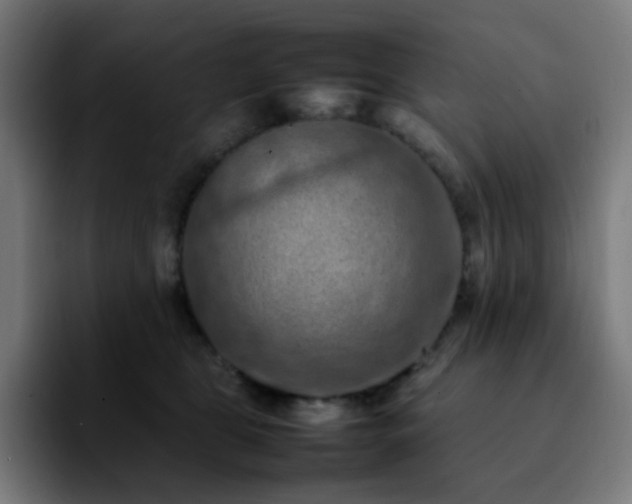 X0000092220469200709211011