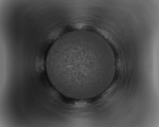 X0000092220470200709211011