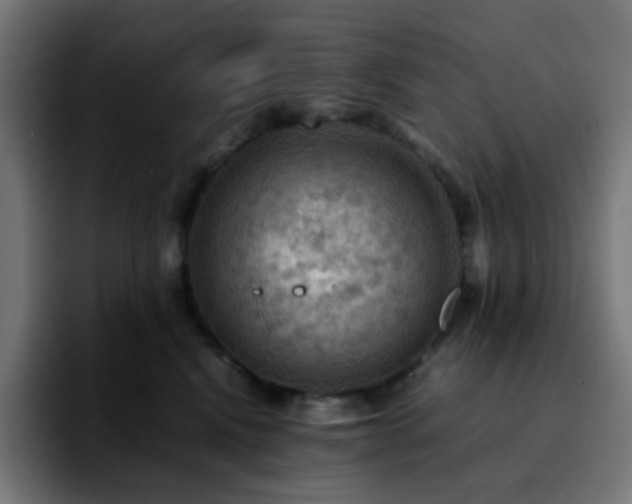 X0000092220472200709211011