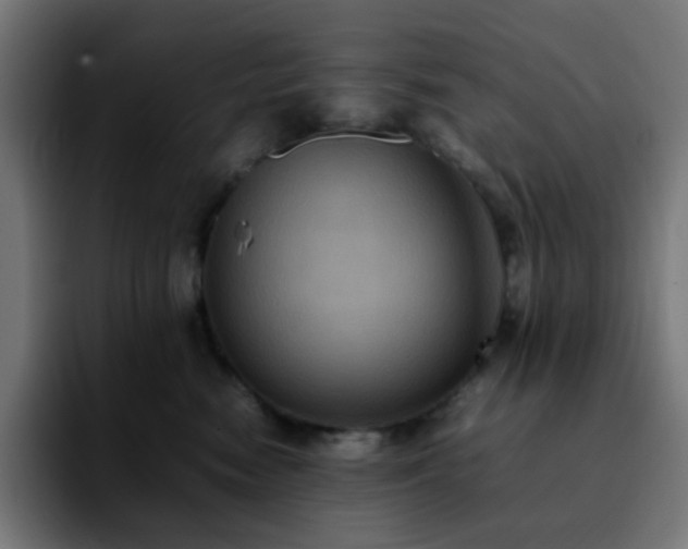 X0000092220474200709211011
