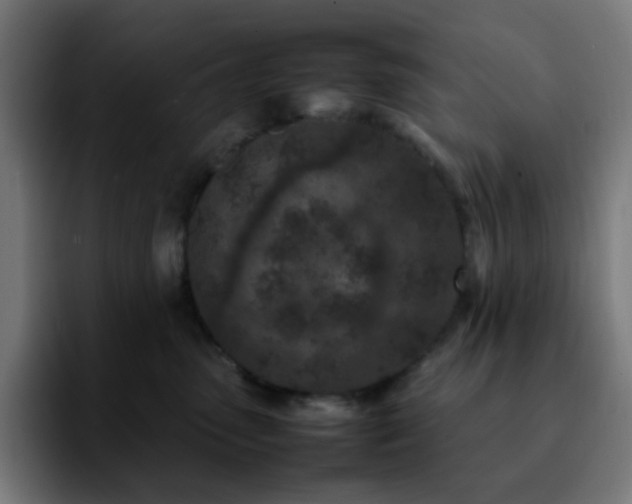 X0000092220475200709211011