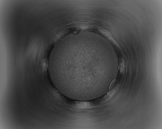 X0000092220476200709211011