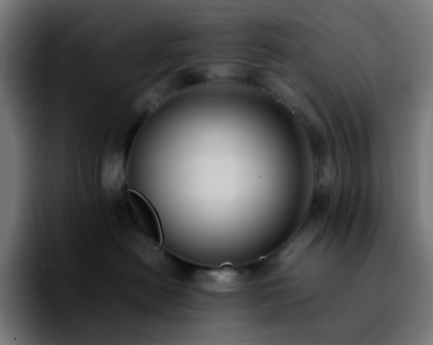 X0000092220478200709211011