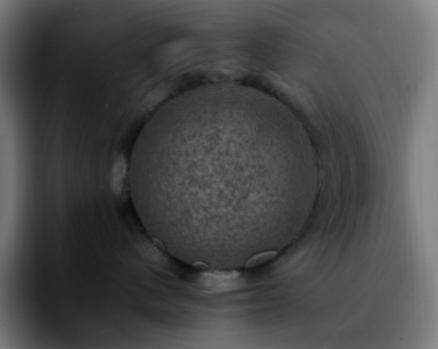 X0000092220480200709211011