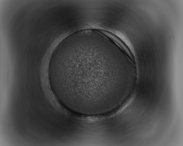 X0000092220481200709211010