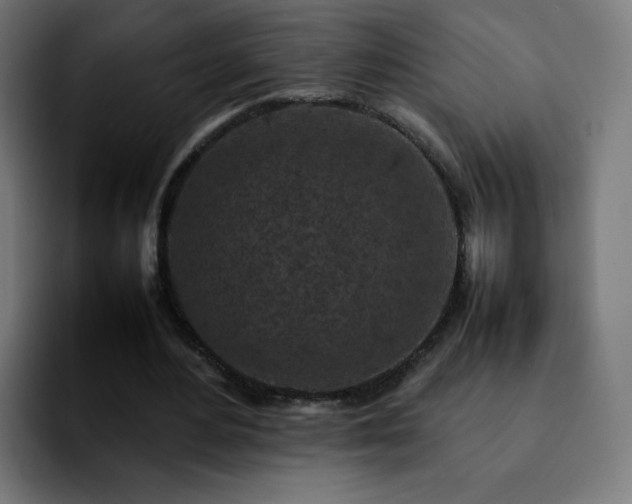 X0000092220484200709211010