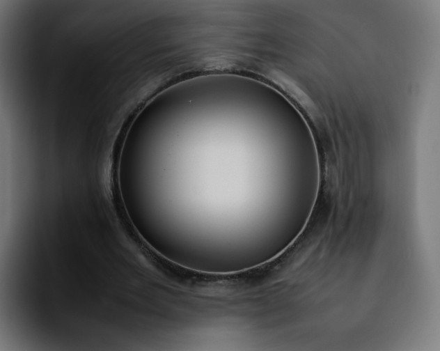 X0000092220485200709211010