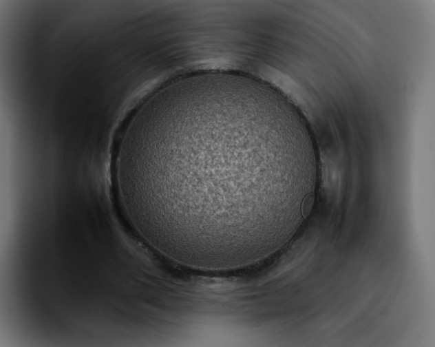 X0000092220486200709211010