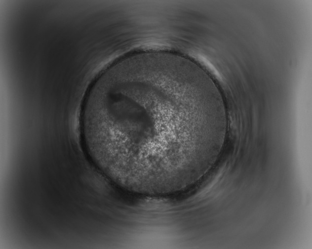 X0000092220487200709211010