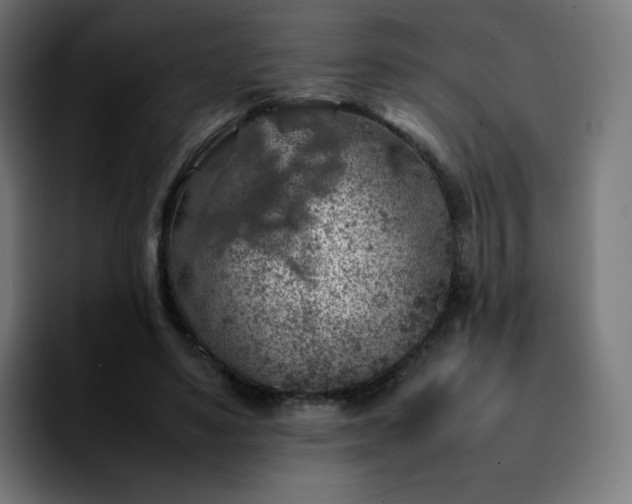 X0000092220491200709211010