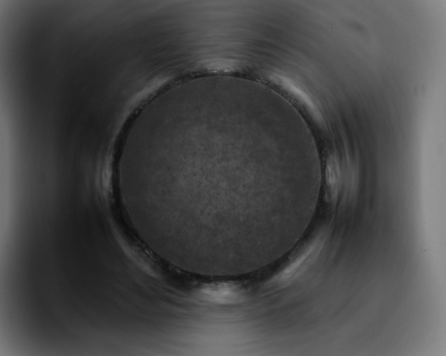 X0000092220492200709211010
