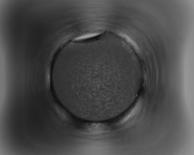 X0000092220493200709211010
