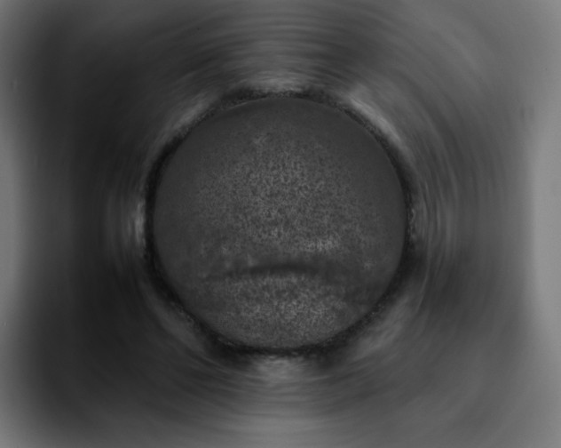 X0000092220494200709211010