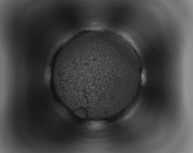 X0000092220495200709211010