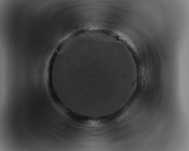 X0000092220496200709211010