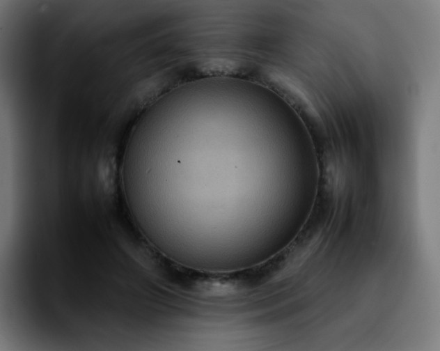 X0000092220498200709211010