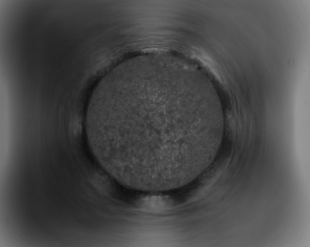 X0000092220499200709211010