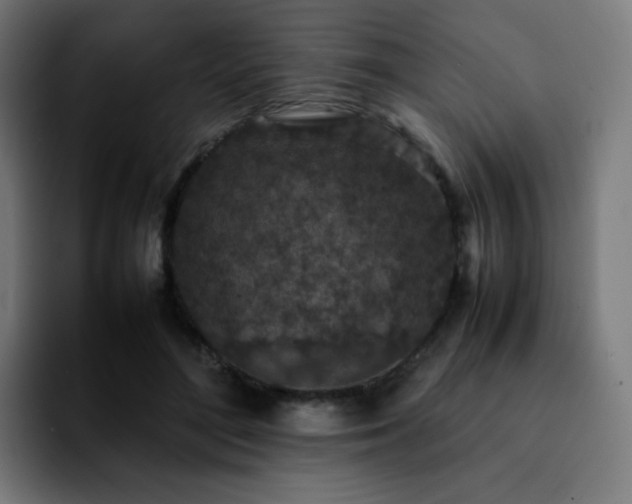 X0000092220500200709211010