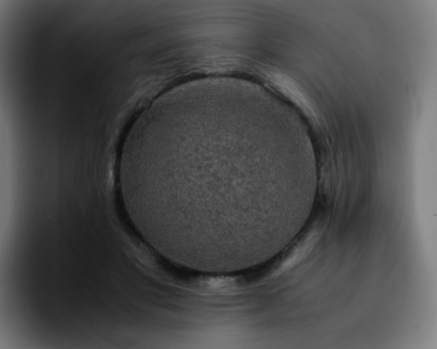 X0000092220501200709211010