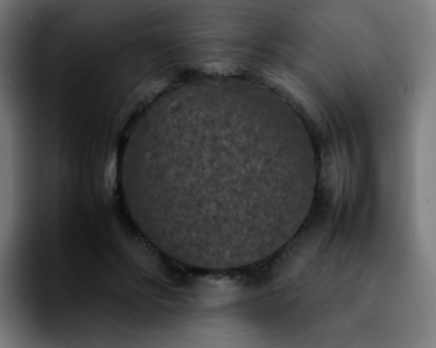 X0000092220502200709211010