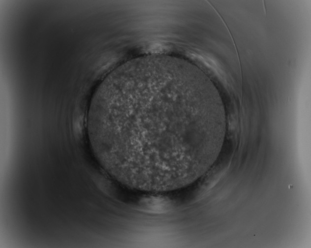 X0000092220503200709211010